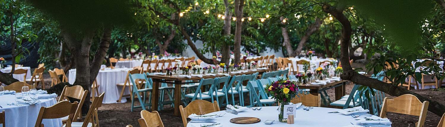 חתונת שטח במטע